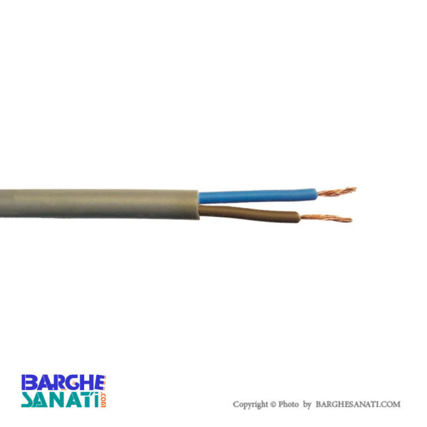 کابل سنسور ابزار دقیق PVC سایز 0.35×2 برند مانیاد