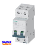 کلید مینیاتوری دو پُل سری 6KA برند زمینس (SIEMENS)