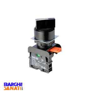 کلید سلکتوری دو طرفه ثابت 2-1-0 برند رعد